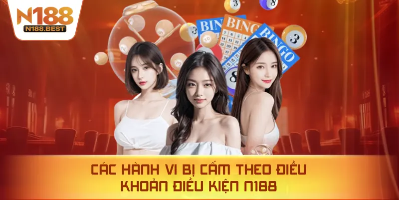 Các Hành Vi Bị Cấm Theo Điều Khoản Điều Kiện N188